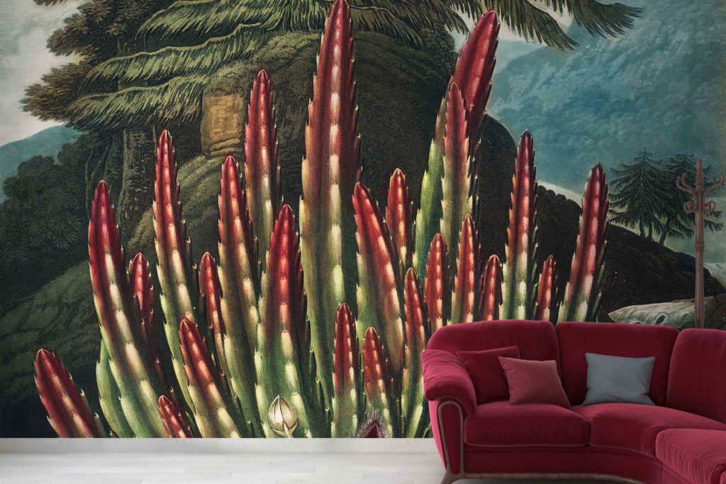 Botanical Wallmurals | Bespoke wallpaper Decor